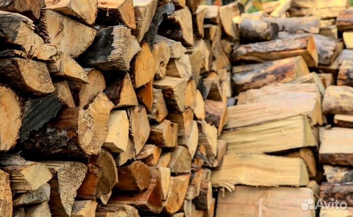 Дрова в тот же день