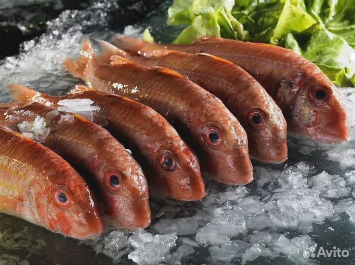 Готовый бизнес: прибыльный рыбный магазин