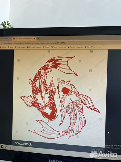 Принтер xerox phaser 3117