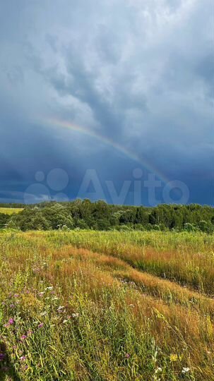 Дом 60 м² на участке 5 га