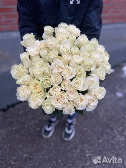 Роза белая с доставкой по Новосибирску