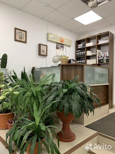 Администратор в стоматологию