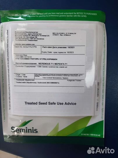 Семена огурец Меренга f1