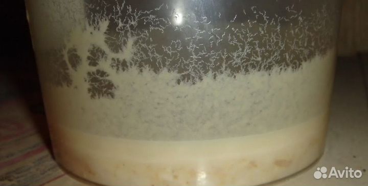 Живой корм для аквариумных рыбок