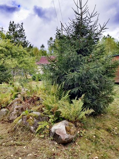 Дом 32 м² на участке 7,6 сот.