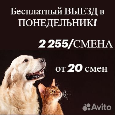 Выезд в Понедельник/Упаковщики кормов/Вахта в Ефре