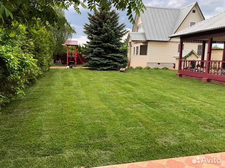 Рулонный газон /продажа/укладка