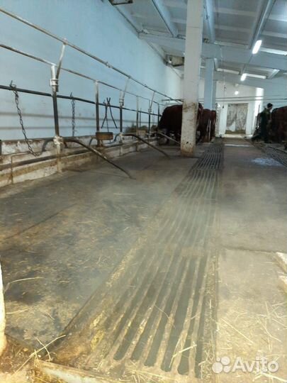 Настил для свинарников коровников