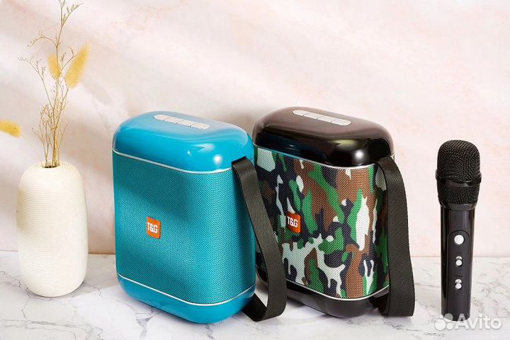 Беспроводная стерео караоке система T&G TG523K