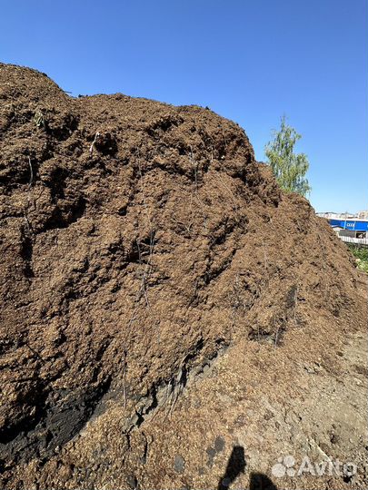 Перегной навоз