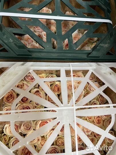 Букет роз с доставкой