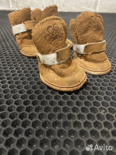 Зимние ботинки для собак и ошейник