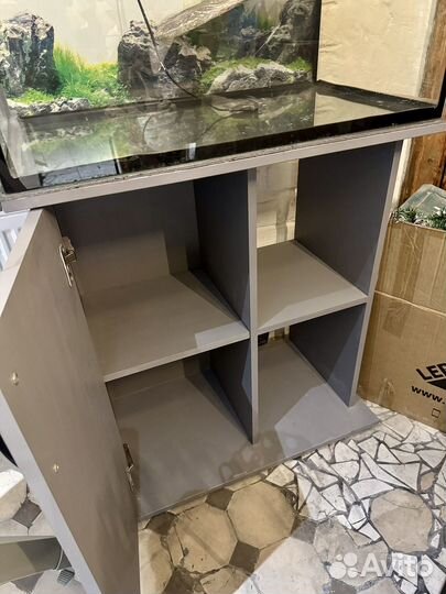 Аквариум / террариум