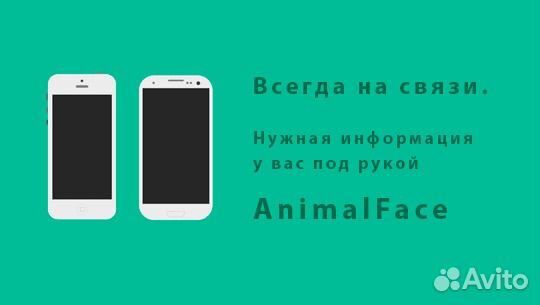 Вакцинация и чипирование Колтушское сп