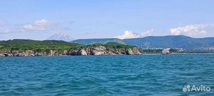 Морские прогулки б. Русская, о. Старичков,Камчатка