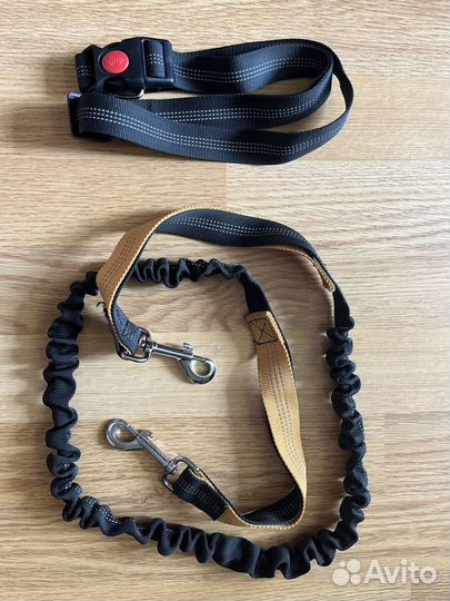 Поводок для собак