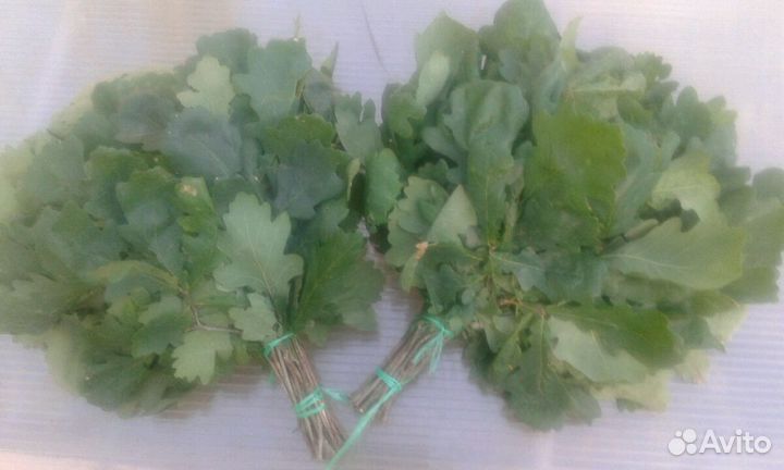 Веники для бани 2024