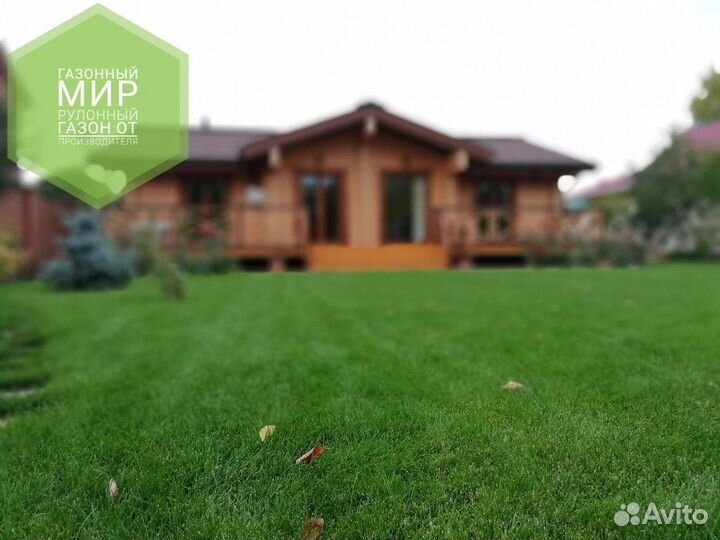 Рулонный газон