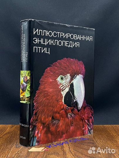 Иллюстрированная энциклопедия птиц