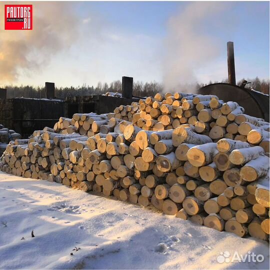 Береза уголь. Розница/Опт