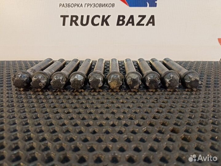 06019090011 Комплект болтов ступицы задней Man TGX