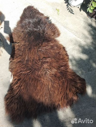 Овечья шкура натуральная