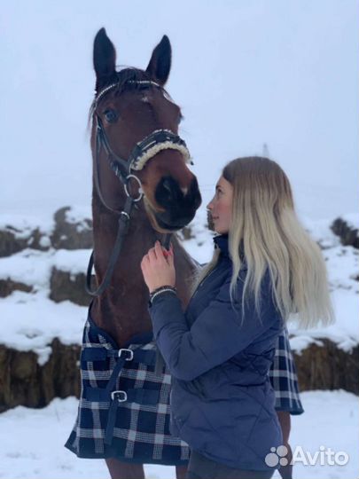 Прогулки на лошади, конные прогулки, лошади Брянск