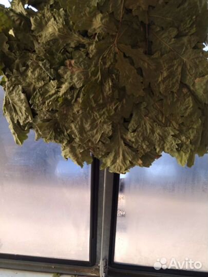 Веники банные