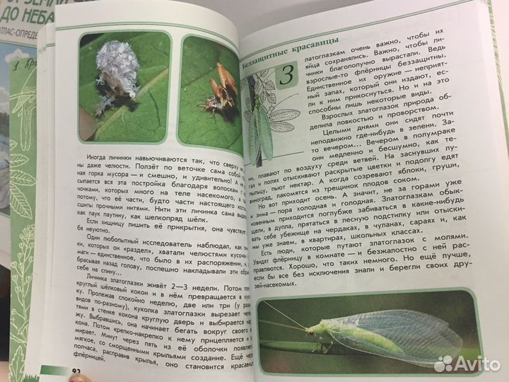 Книги по окружающему миру