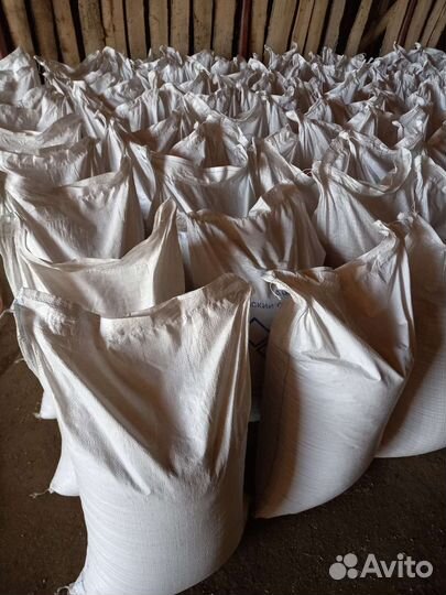 Зерно ячмень