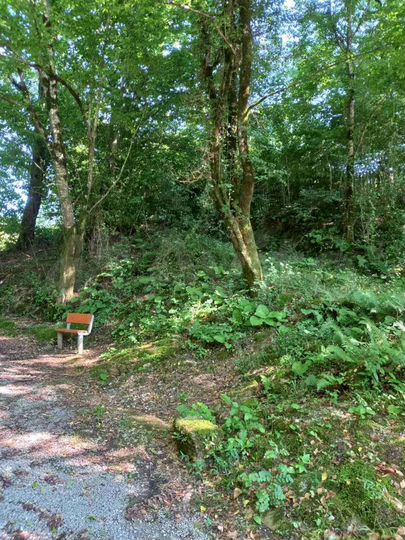 Участок 12 сот. (ИЖС)