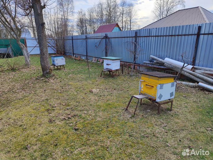 Ульи для пчел