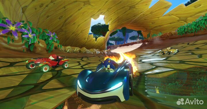 Team Sonic Racing (Steam)