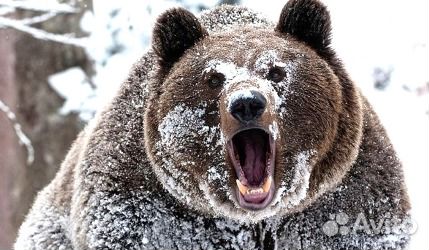 Видеомонтаж, Фотомонтаж, создание фильмов