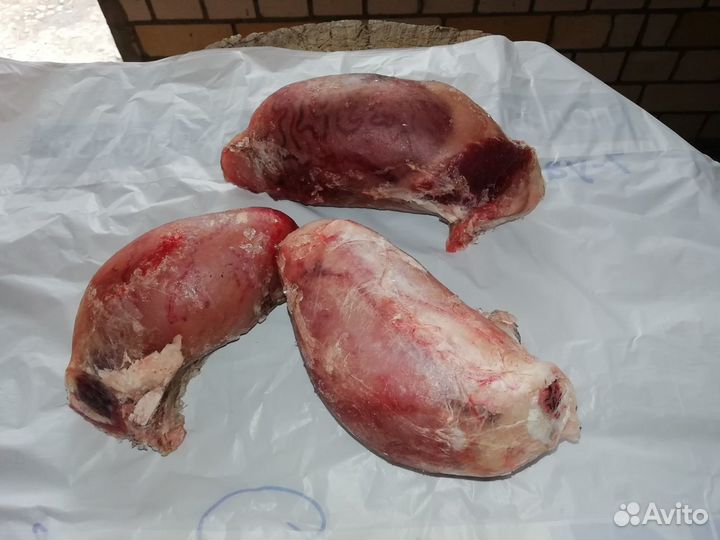 Мясо для собак (субпродукты)