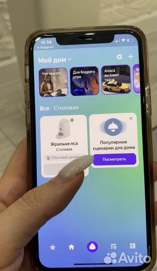 Xiaomi кормушка для животных Автоматическая умная