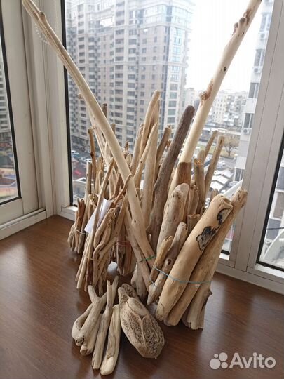 Коряги дрифтвуд для творчества и декора