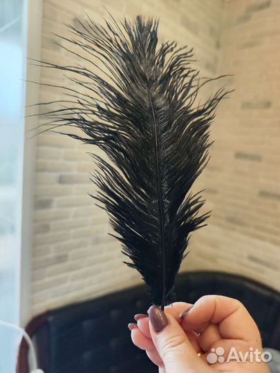 Перья для декорации черного цвета