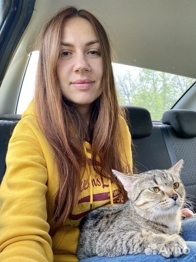 Перевозка животных