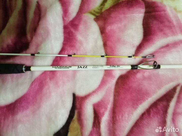 Спиннинг для троллинга