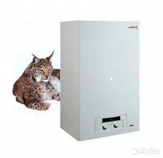 Настенный газовый котел Protherm Рысь HK24