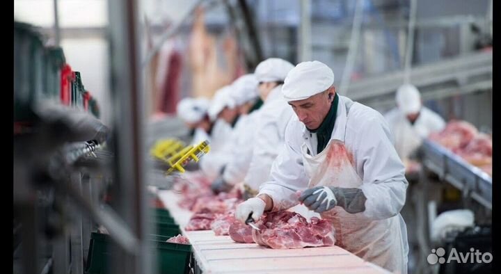 Работа разнорабочим на производстве(Вахта от 15 см