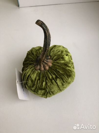 Тыква декоративная