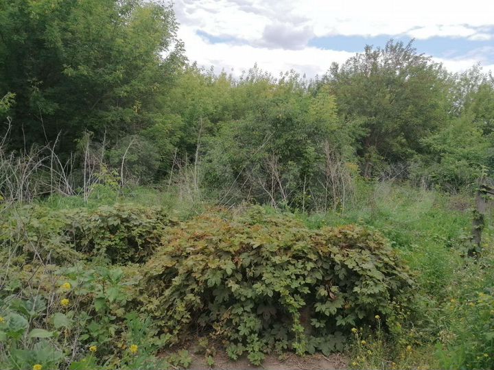 Дом 35,3 м² на участке 16 сот.