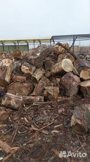 Дрова дуб неколотые