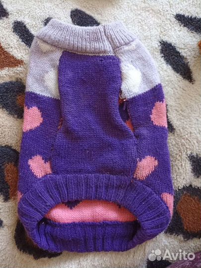 Одежда для собаки (до 3 кг)