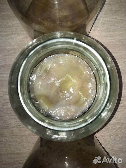 Чайный гриб комбуча