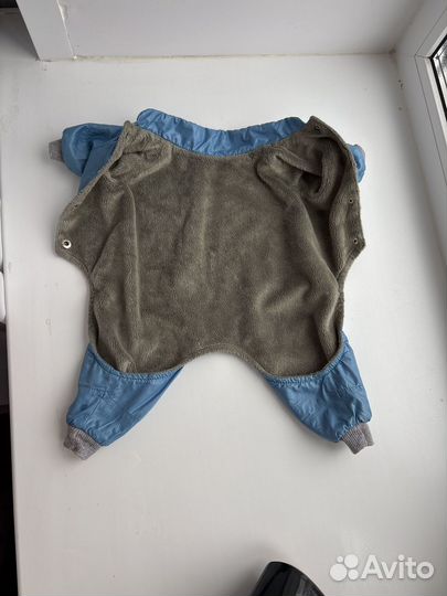 Комбинезон для маленькой собаки