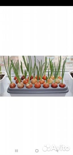 Грядки без земли