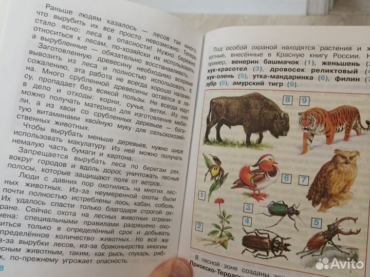 Учебник Мир вокруг нас 4 класс